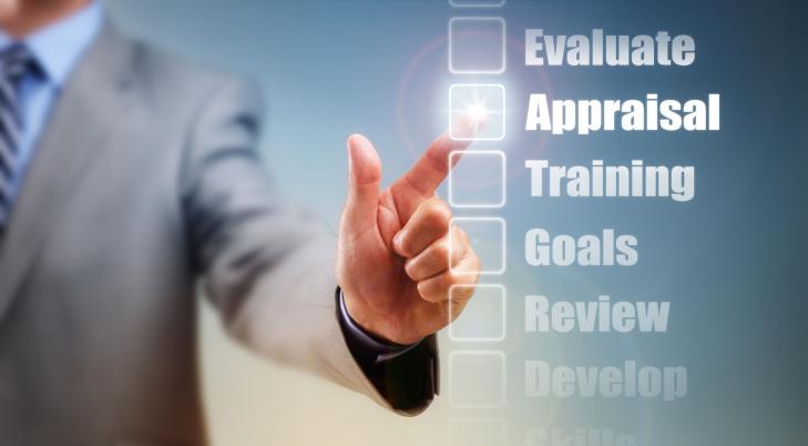 Performance appraisals: Pitfalls and promises