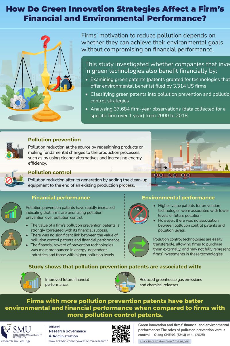 How Do Green Innovation Strategies Affect a Firm's Financial and Environmental Performance?